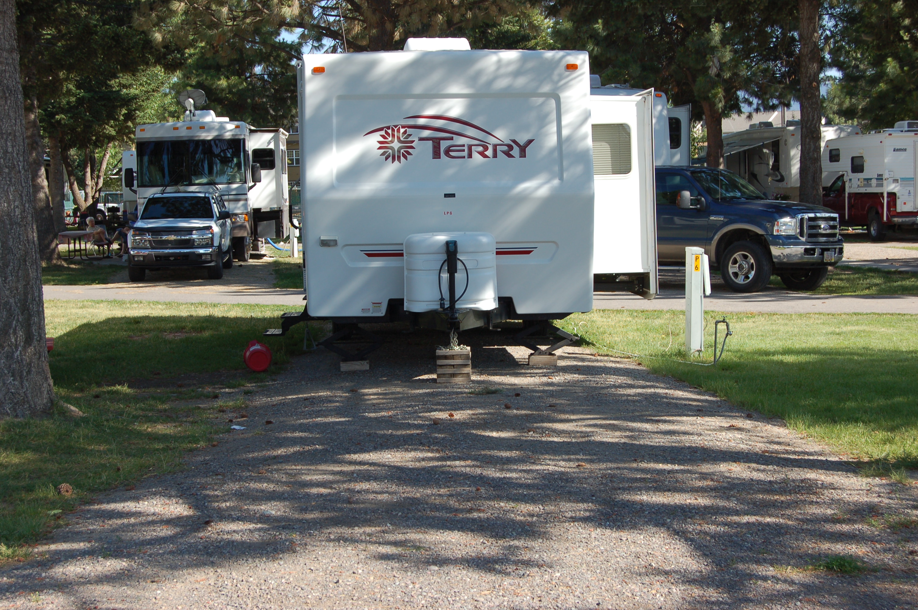 RV sites under the pine trees