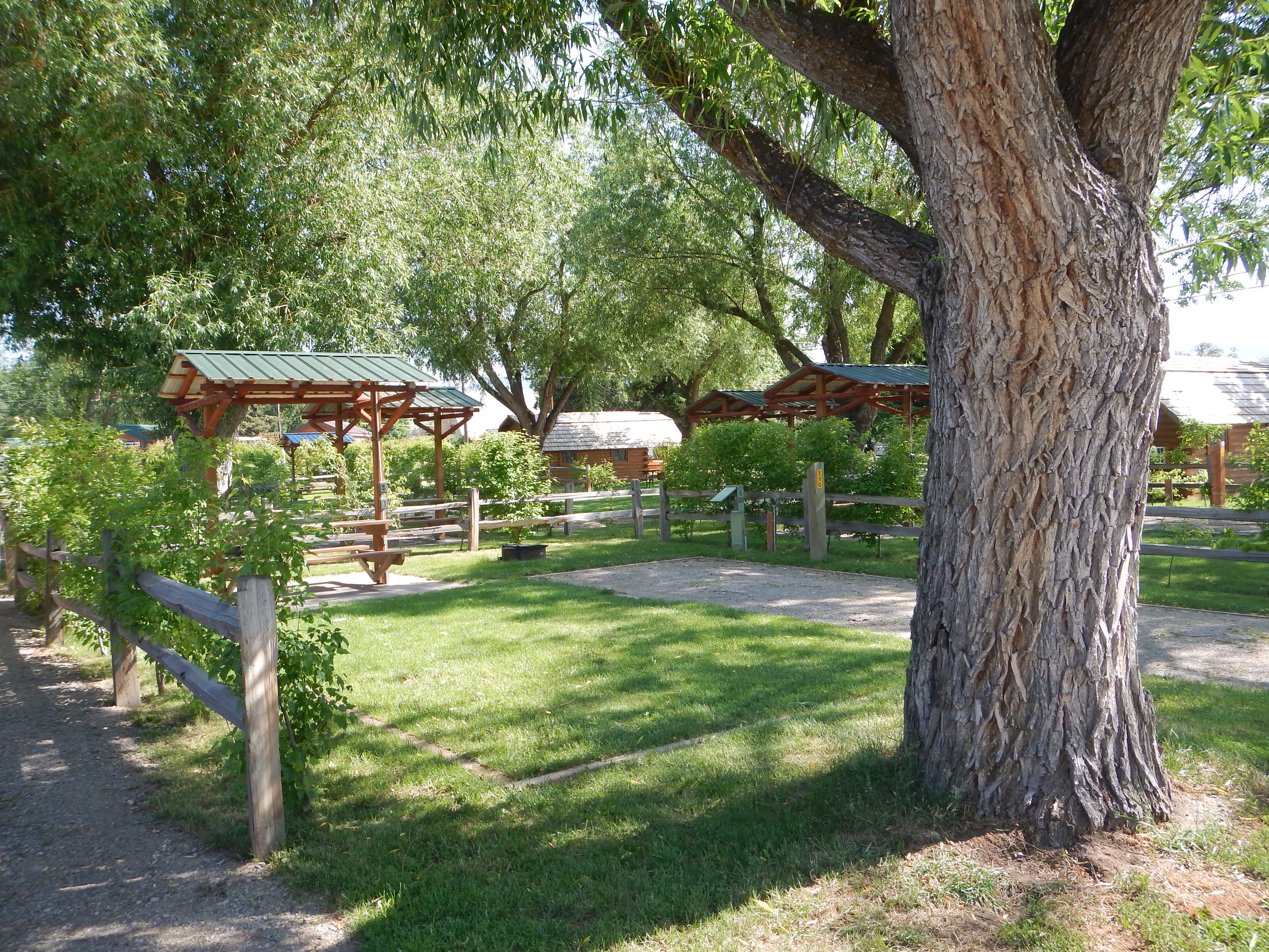 Premium Tent Site, Covered picnic table, USB charging ports, fire ring.