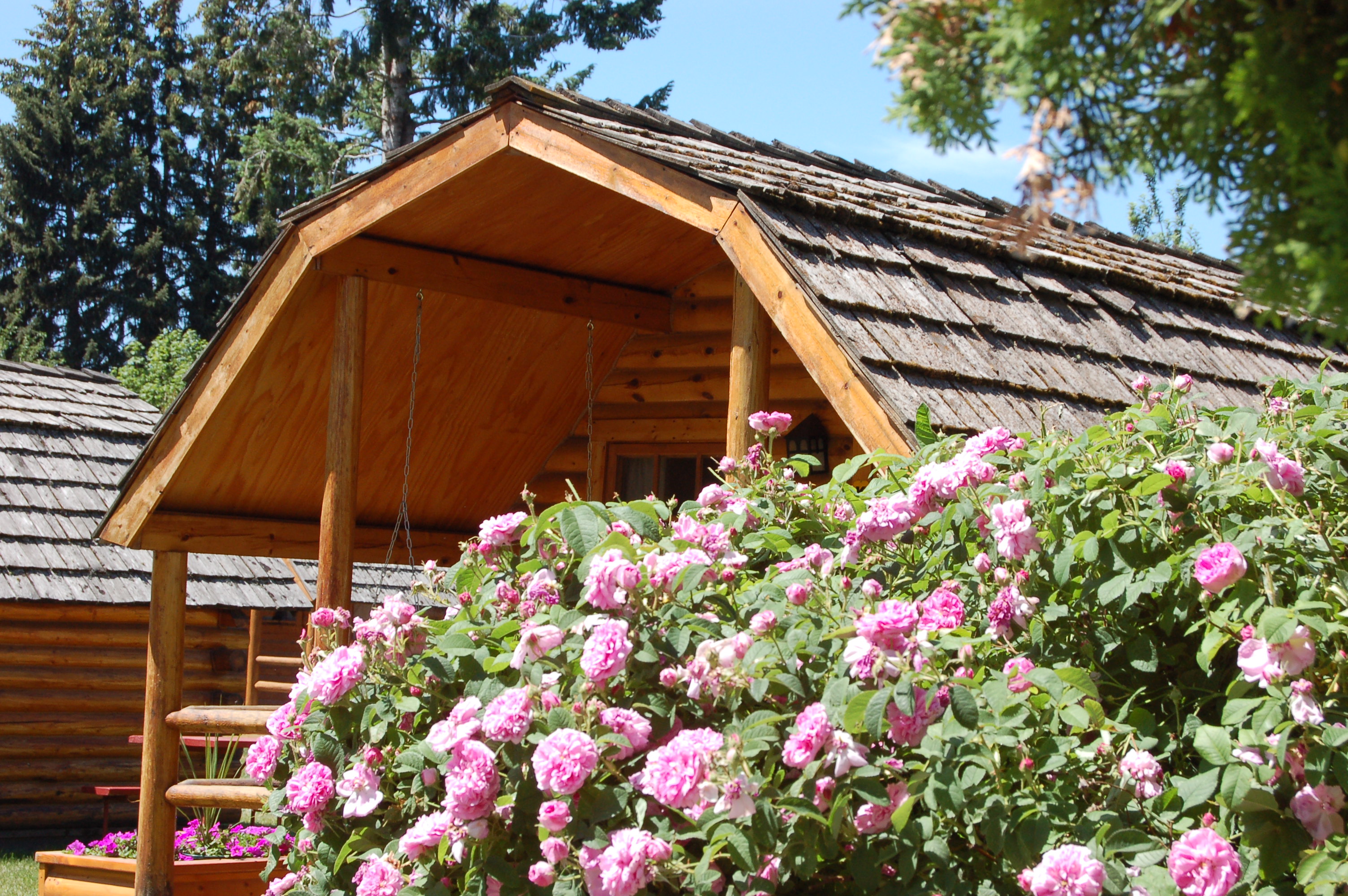 Cabin Sleeps 5 / One room cabins