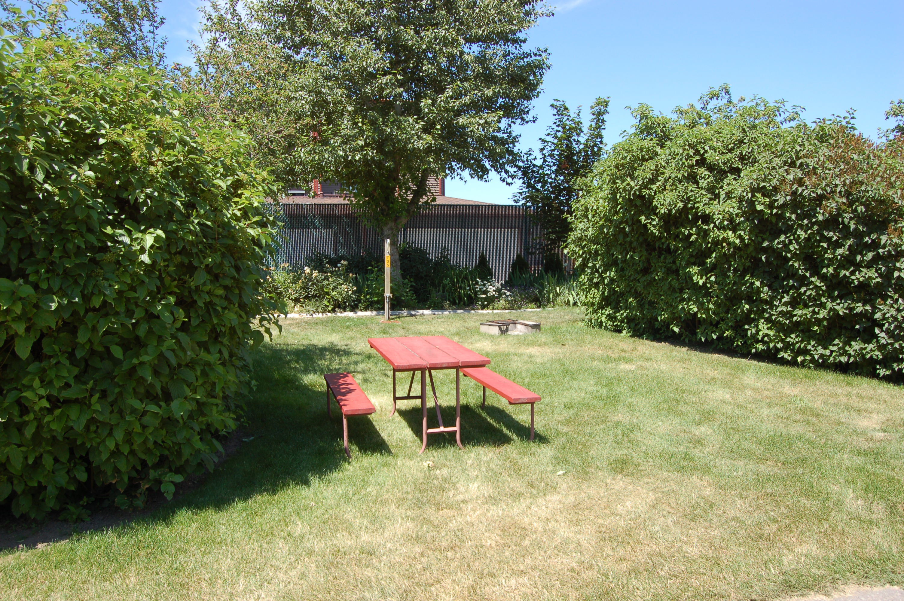 06) Grassy tent sites surrounded by shrubs