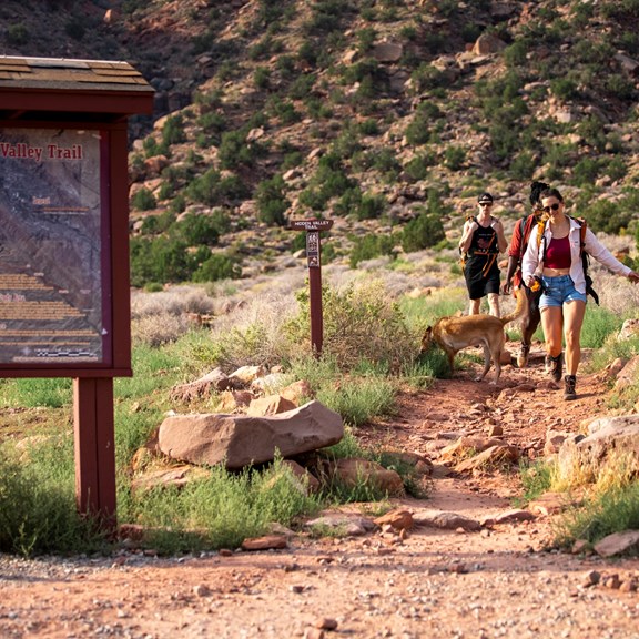 Hiking