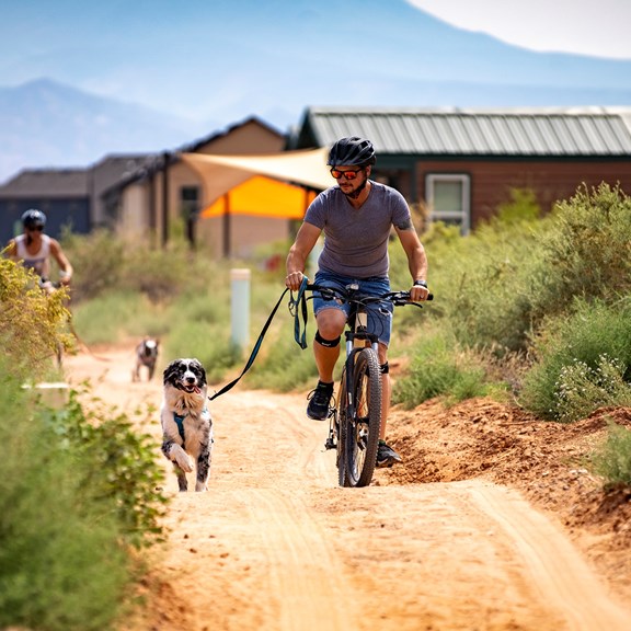 Take the Dog for a Scenic Walk or Bike Run