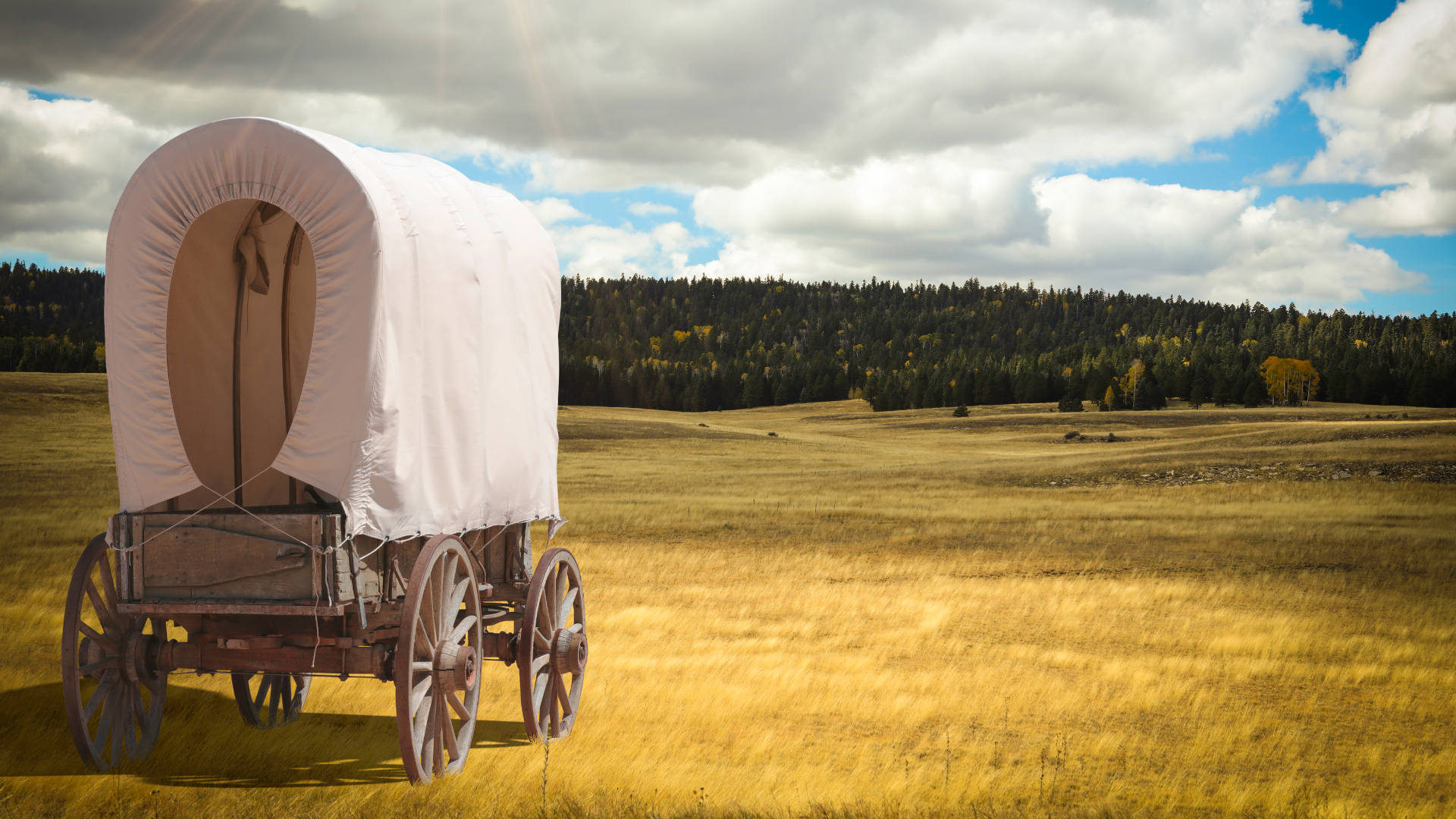 Pioneer Day Photo