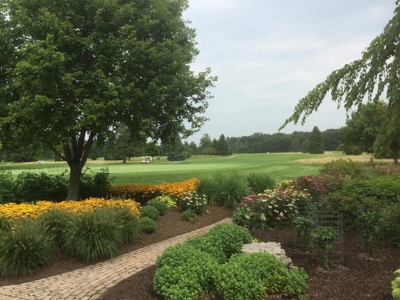10 Golf Courses