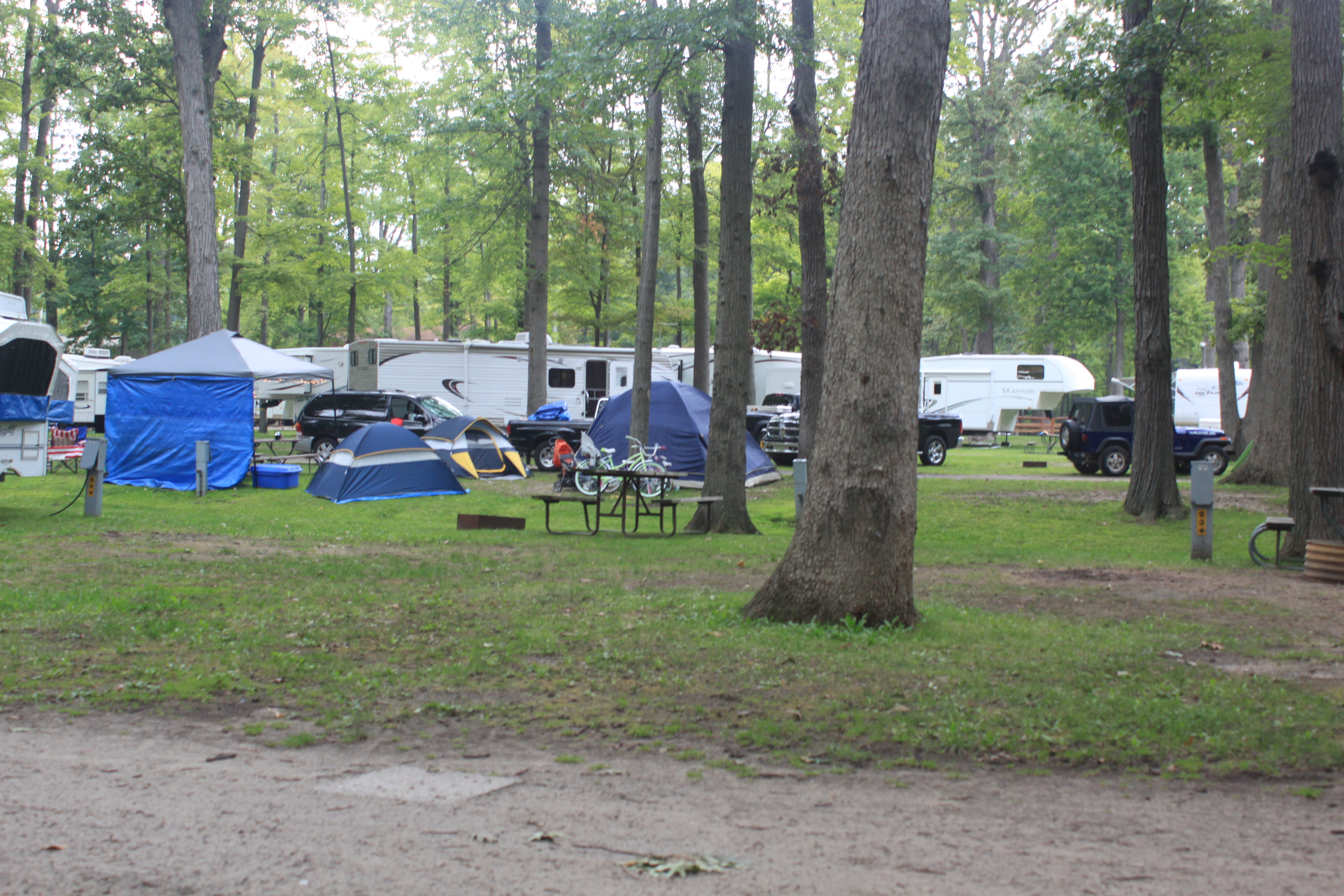 site