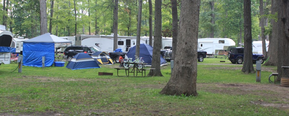 site