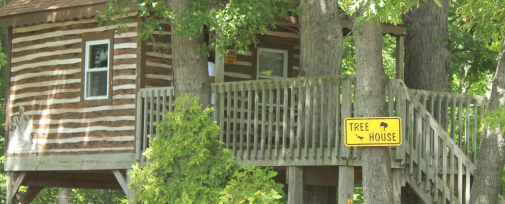 tree house