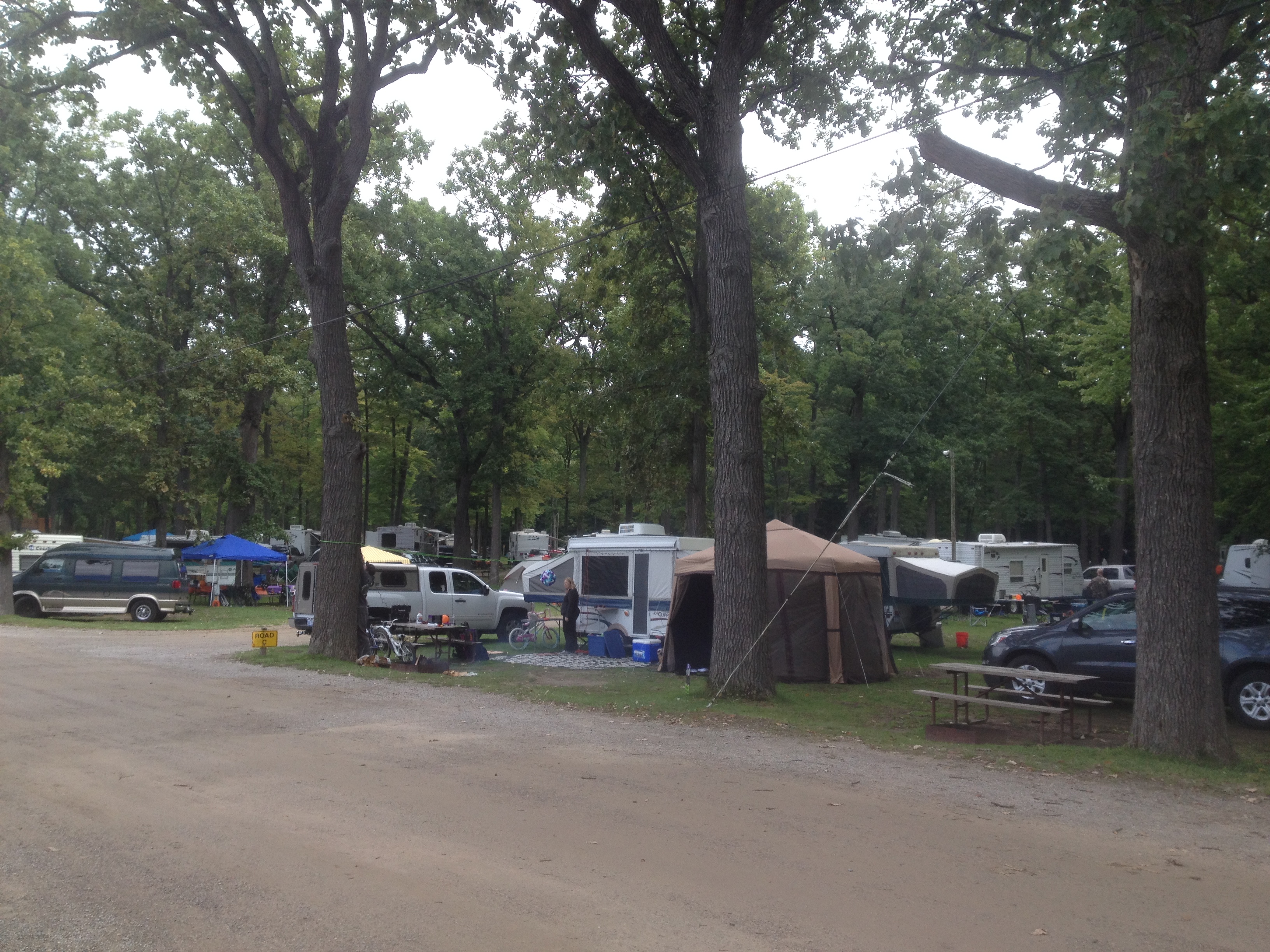 site