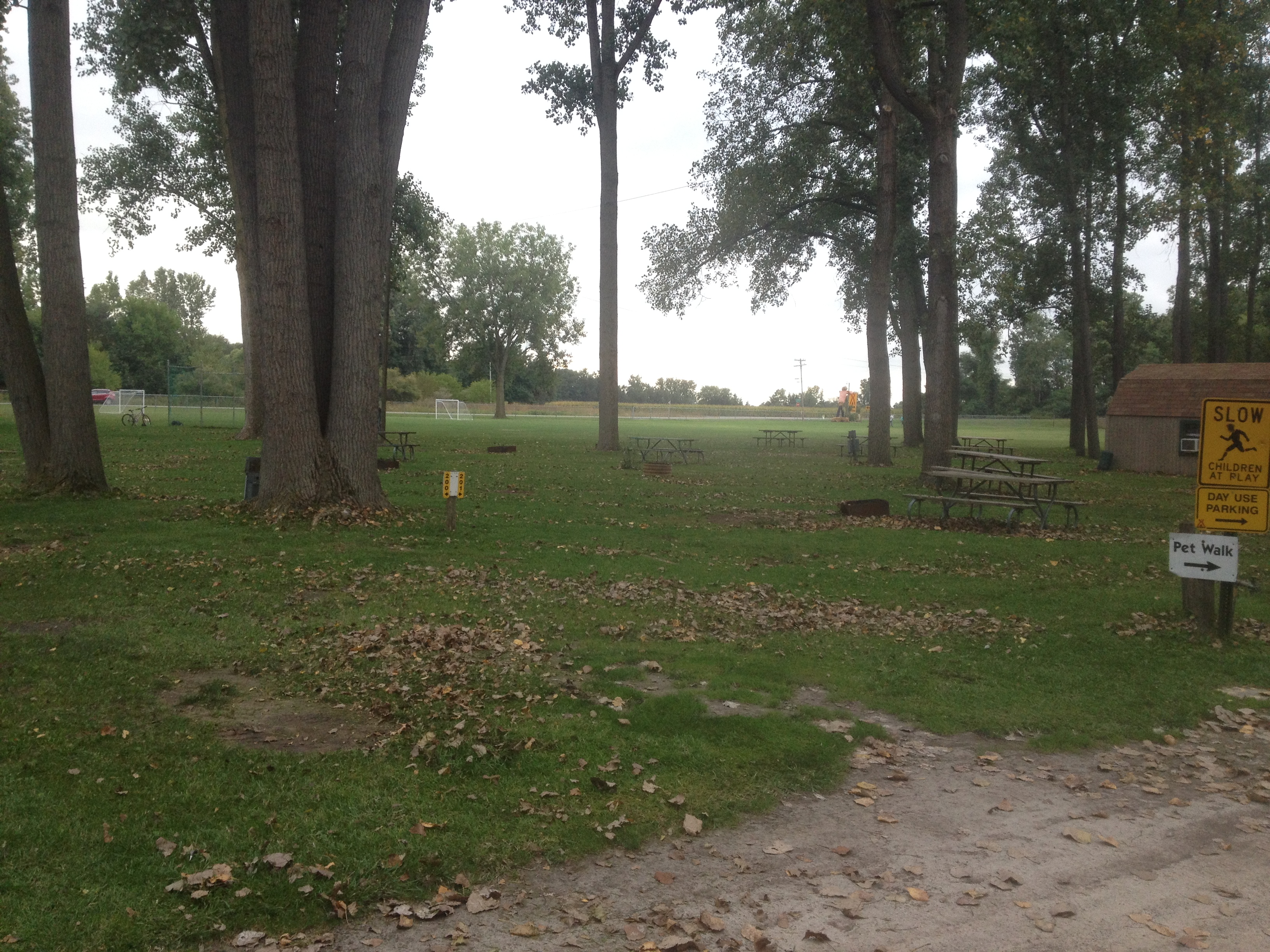 site