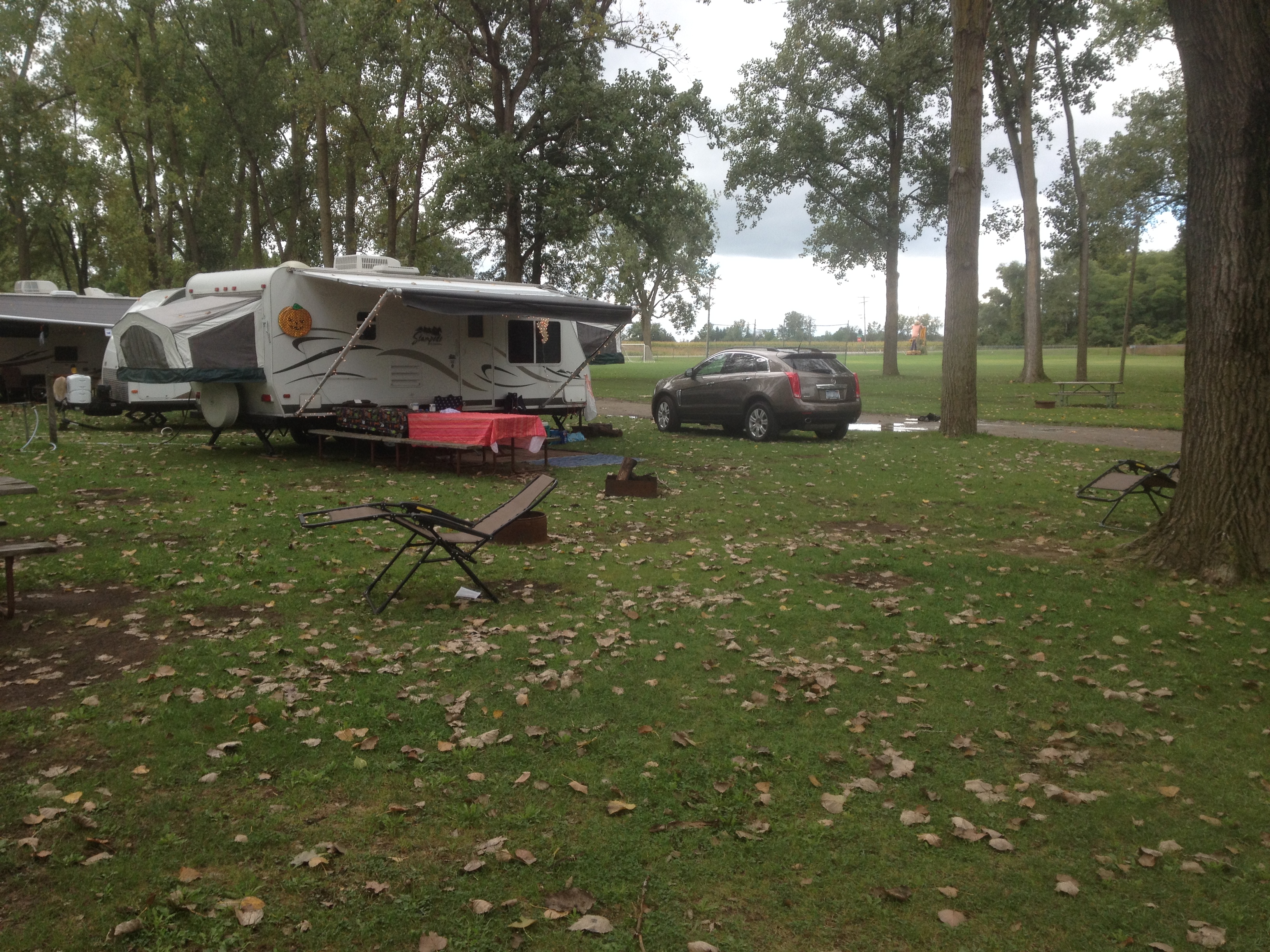 site
