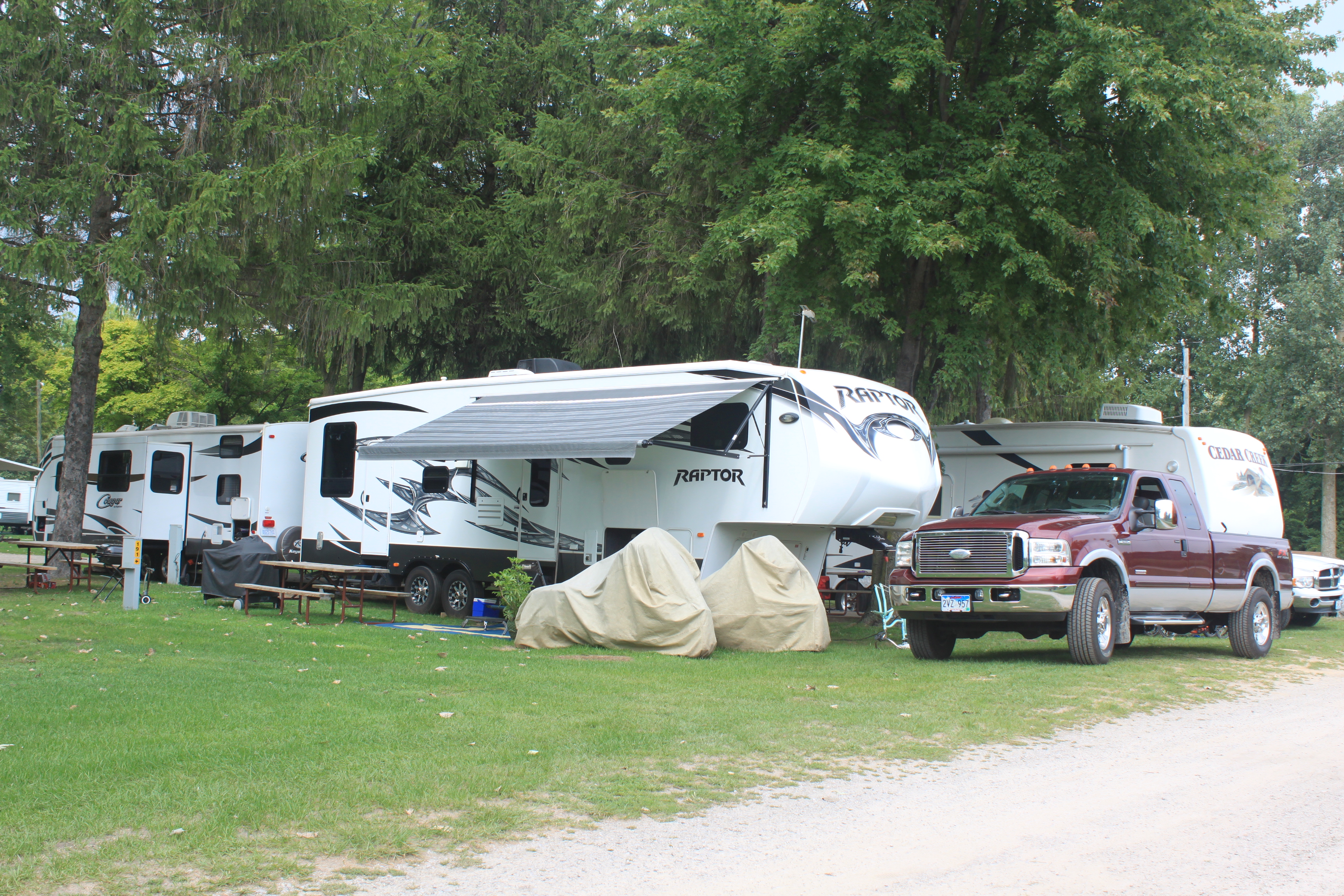 site