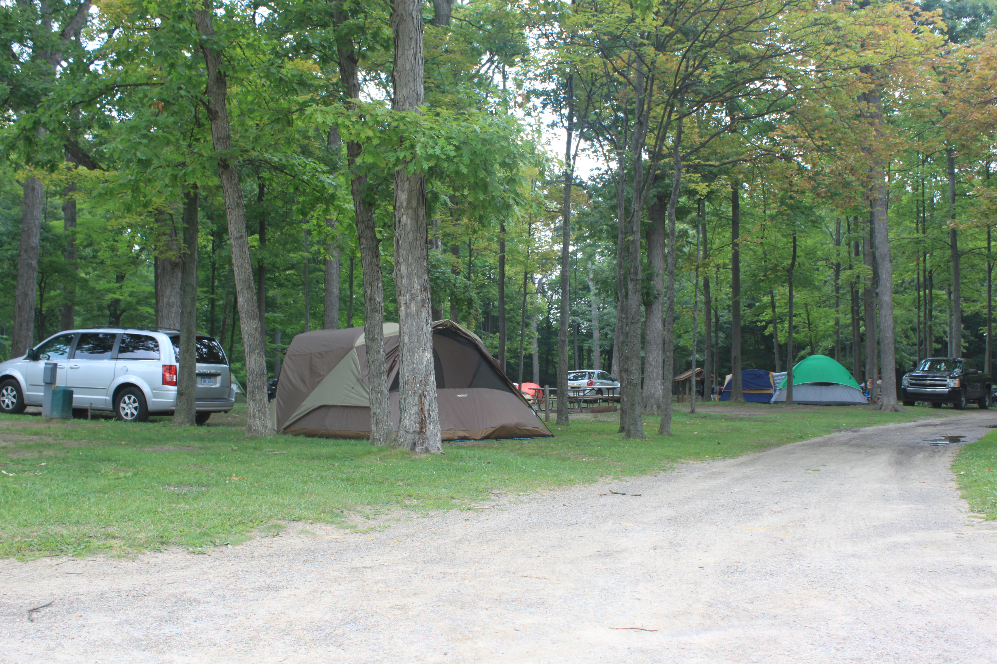 site