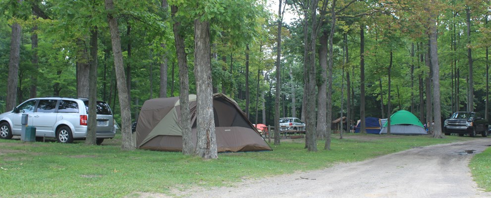 site