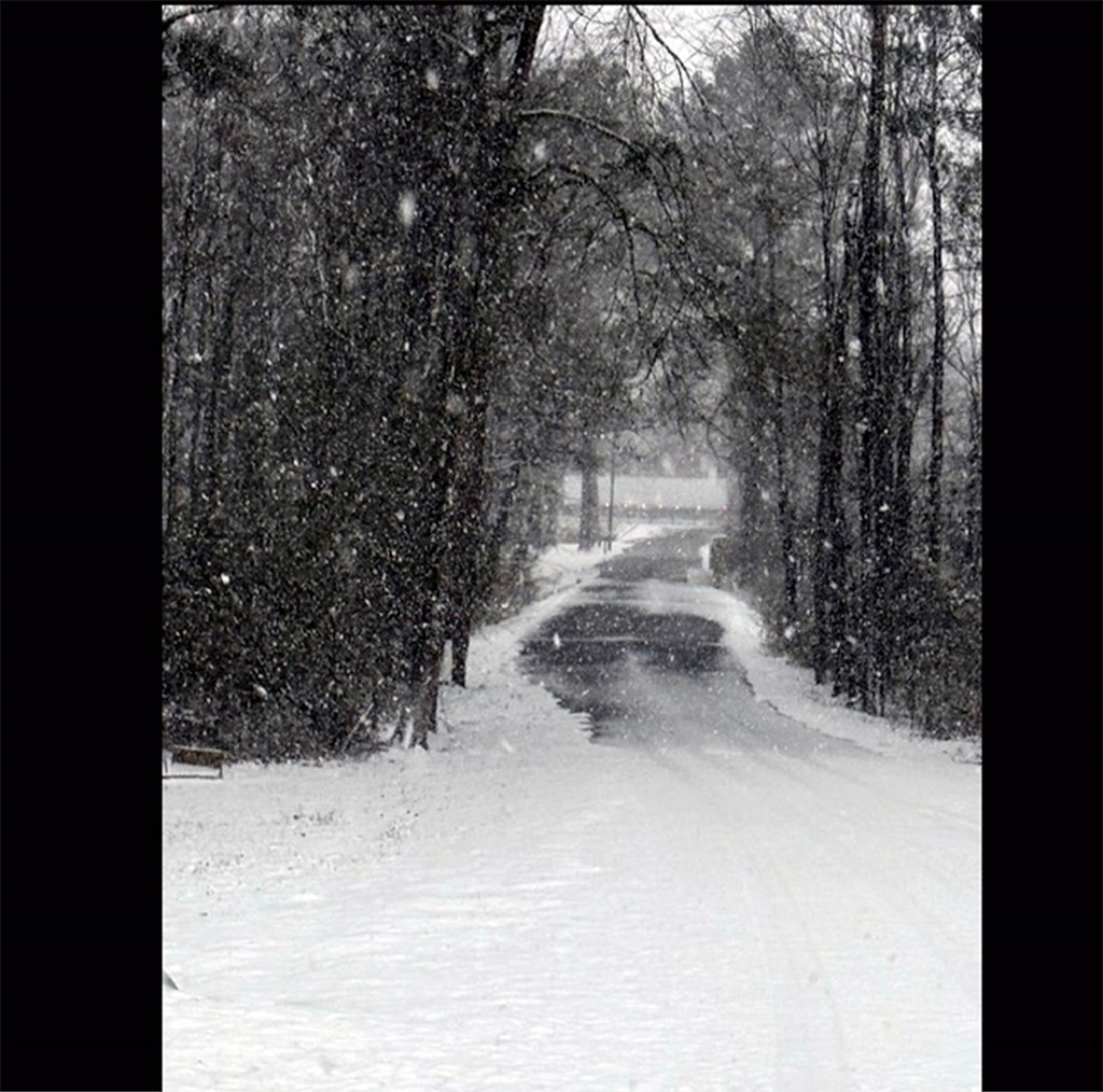 Snowfall in Alabama! January 21, 2025