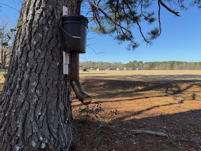 Our Finished Deer Feeder