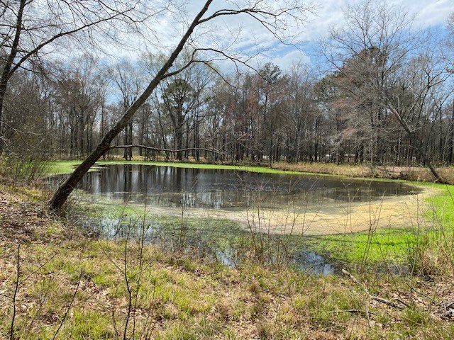 Jennie's Pond