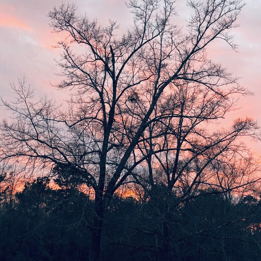 Sunset at Montgomery KOA Journey