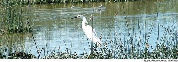 Bear Lake National Wildlife Refuge