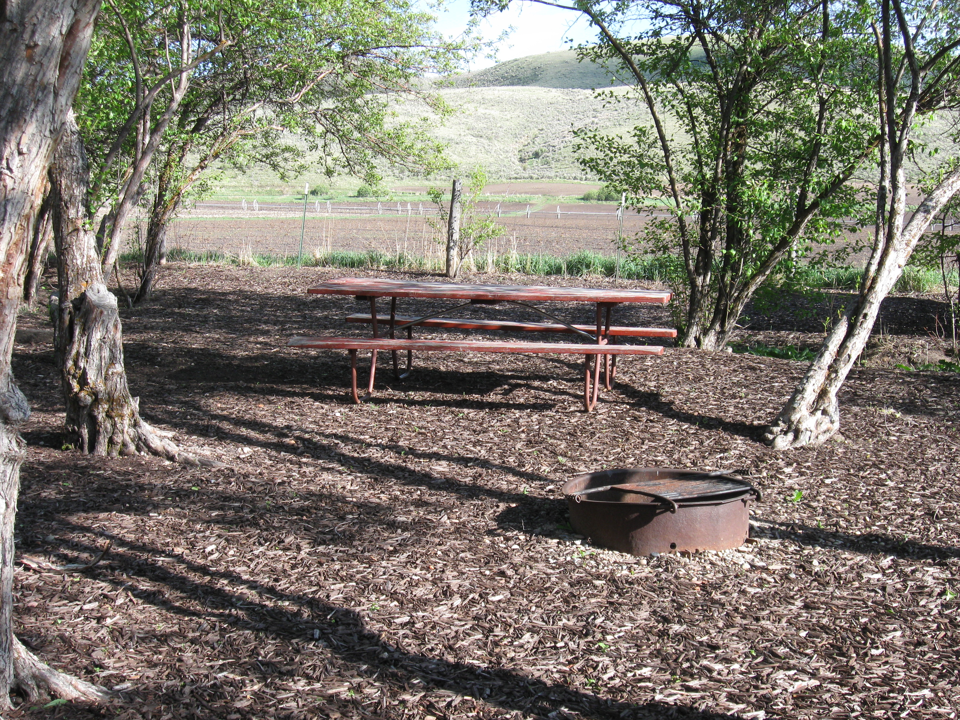 Basic Tent sites