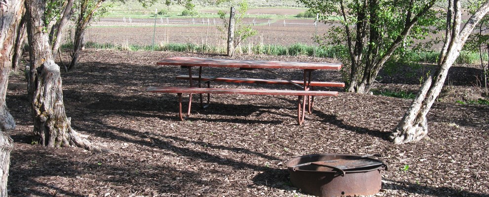 Basic Tent sites