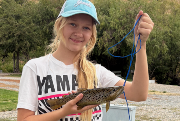 Welcome to the Montpelier Creek KOA Journey