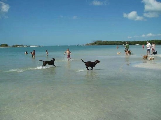 Bonita Beach Dog Park
