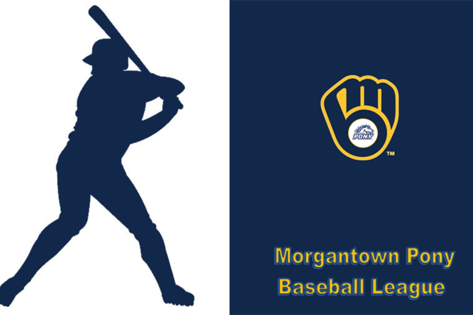 Appalachian Showdown Pony League Summer Baseball Tournament Photo