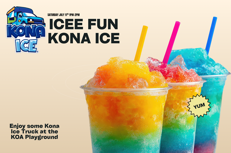 Icee Fun with Kona Ice Photo