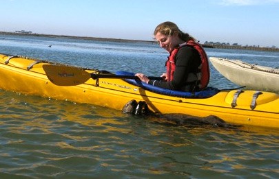 Kayak Connection