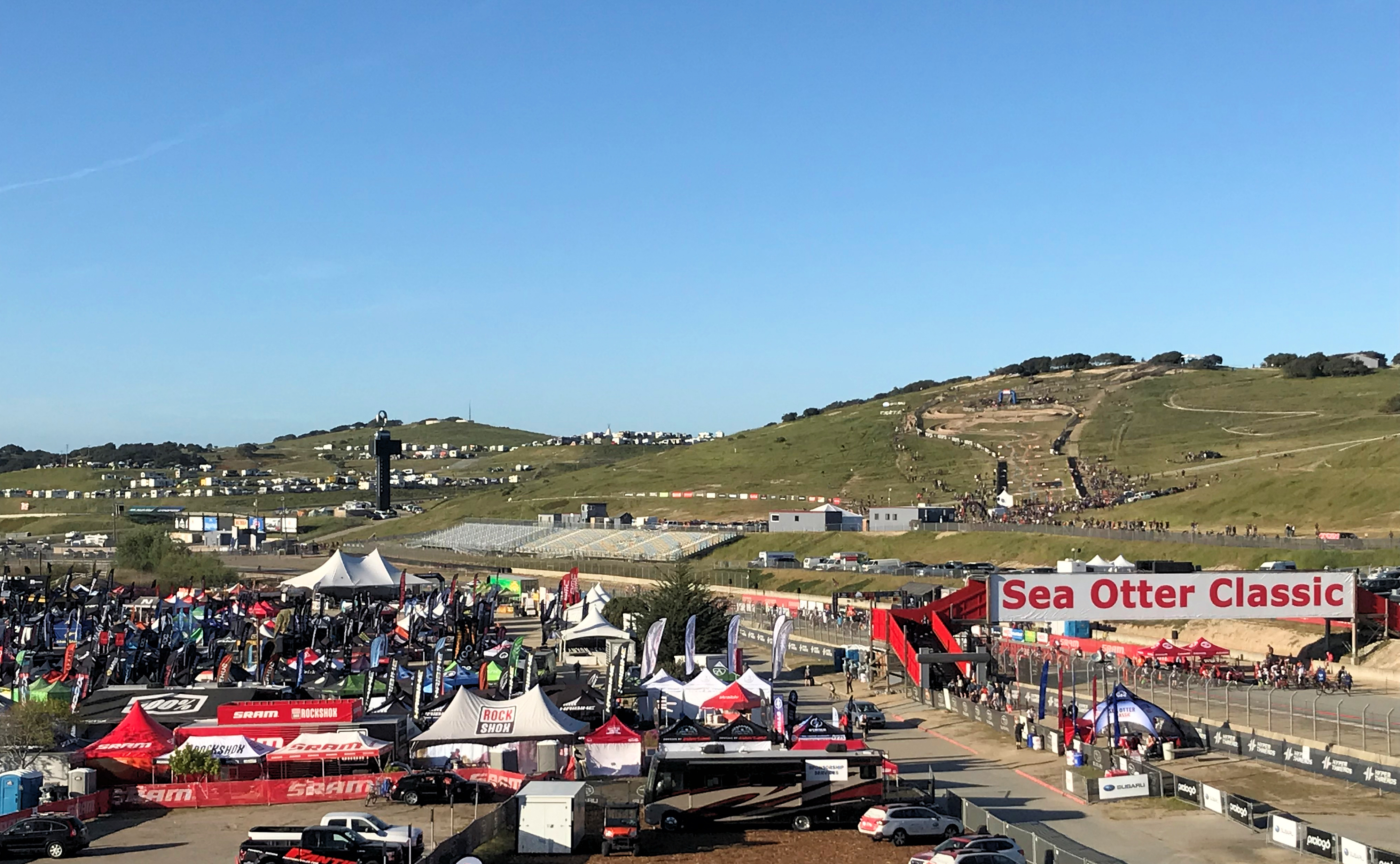 Life Time Sea Otter Classic Photo