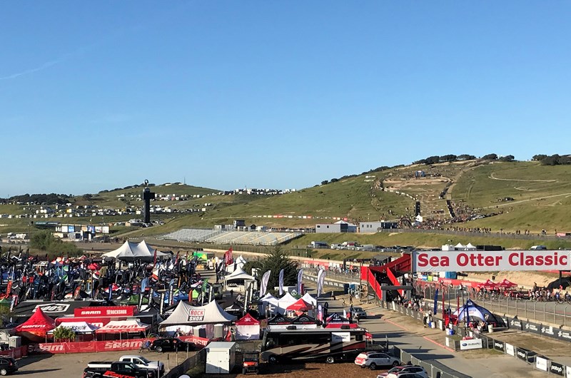 Life Time Sea Otter Classic Photo