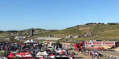 Life Time Sea Otter Classic