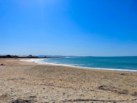 Beautiful Salinas River State Beach
