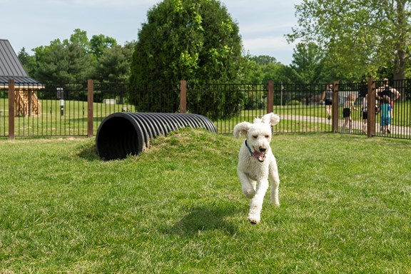 KampK9 Dog Park