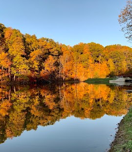 Mt Gilead State Park