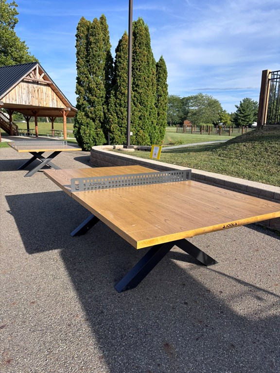 Outdoor Ping Pong
