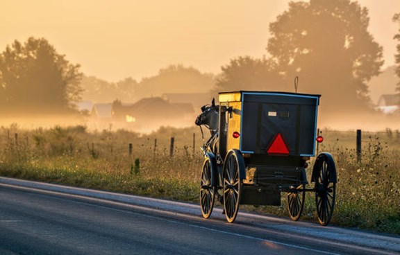 Local Amish Farms and Businesses