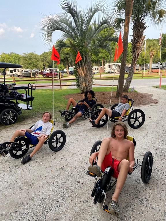 Bike Rentals