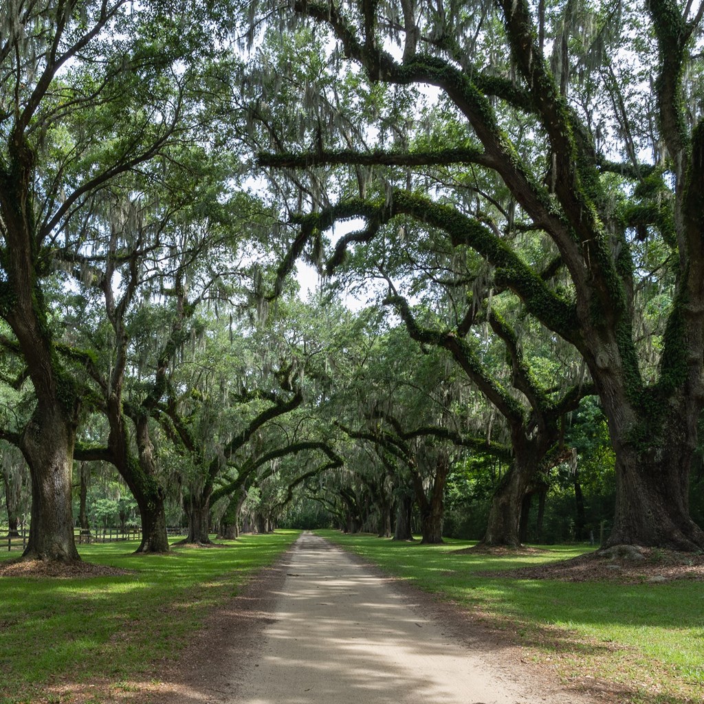Camping Without Kids: A Peaceful Getaway to Charleston