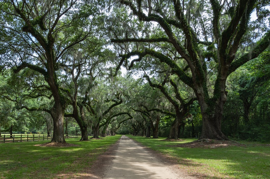 Summer Fun Around Charleston While Camping at Mount Pleasant