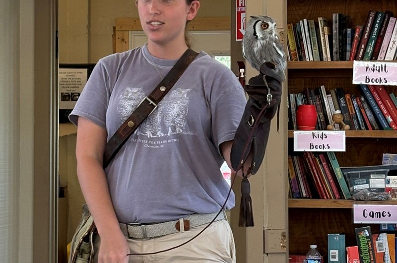 Birds of Prey Flight Demo Weekend Photo