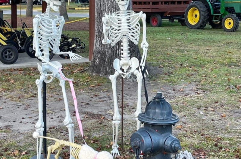 Halloween in the Park Photo