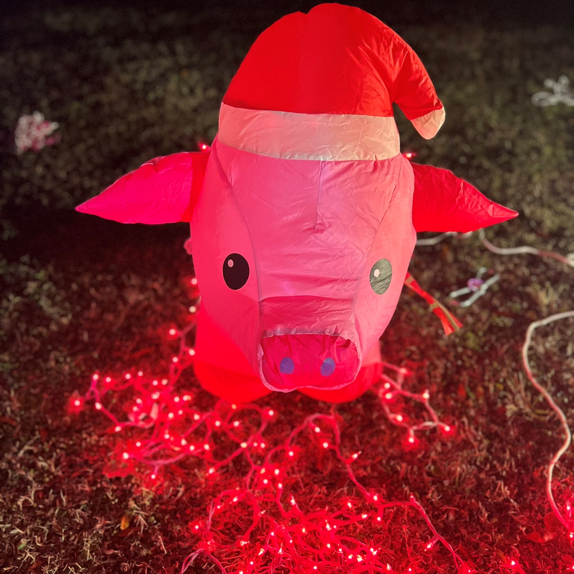 New Years Eve Celebration Photo