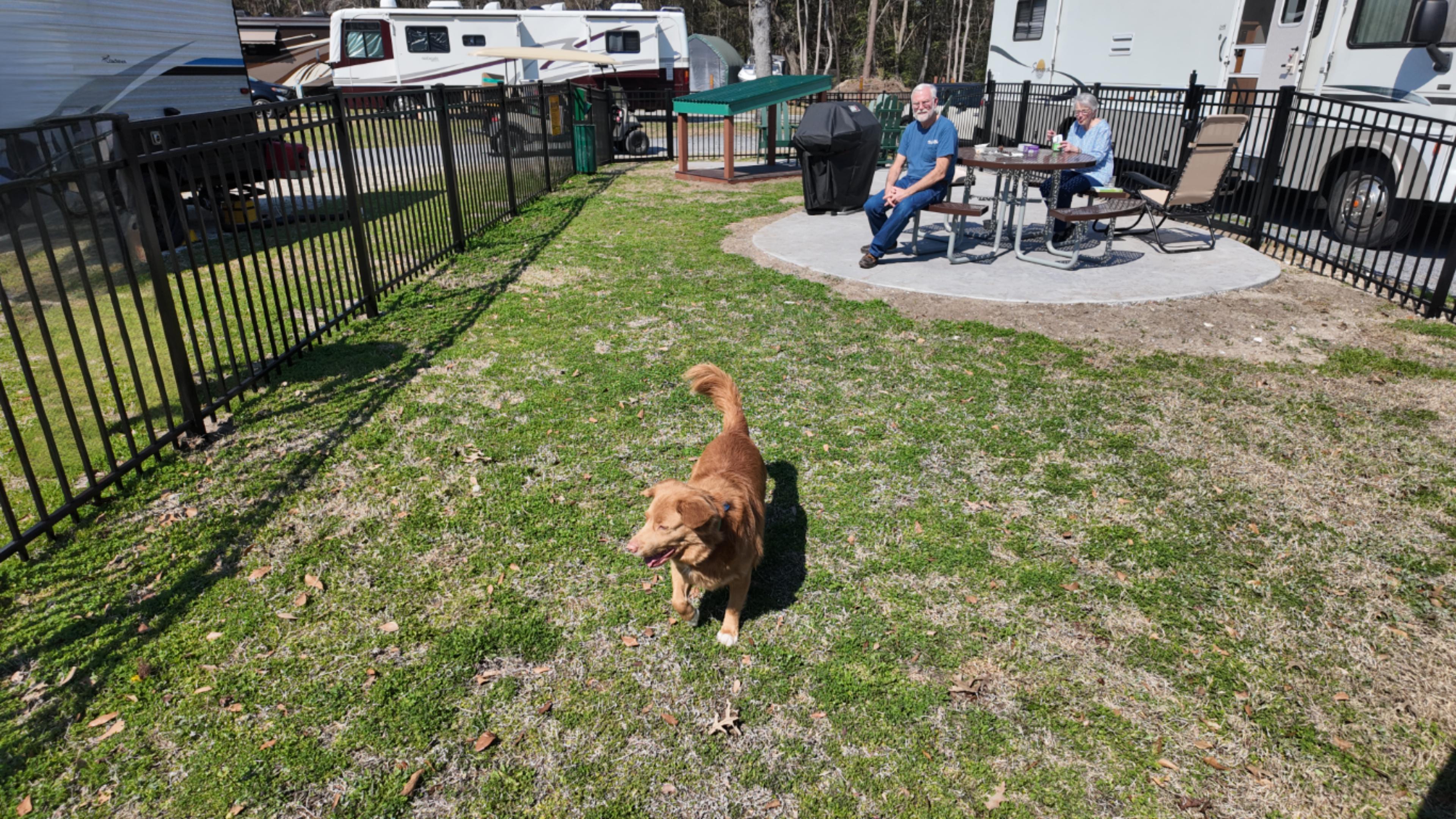 KOA Paw Pen Site 47