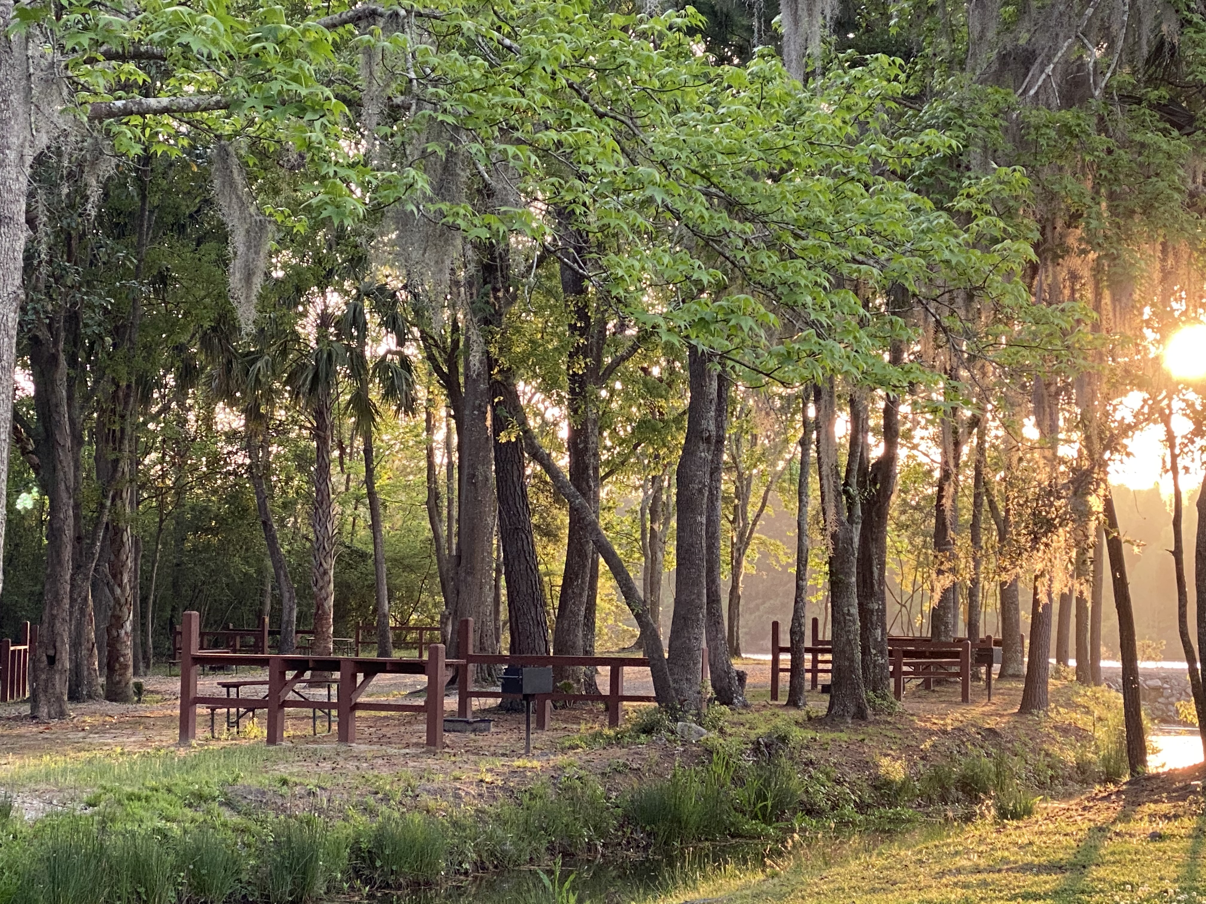 Tent Sites