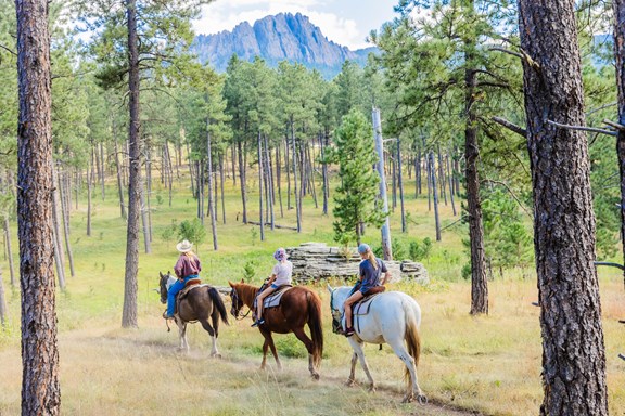 Palmer Gulch Stables