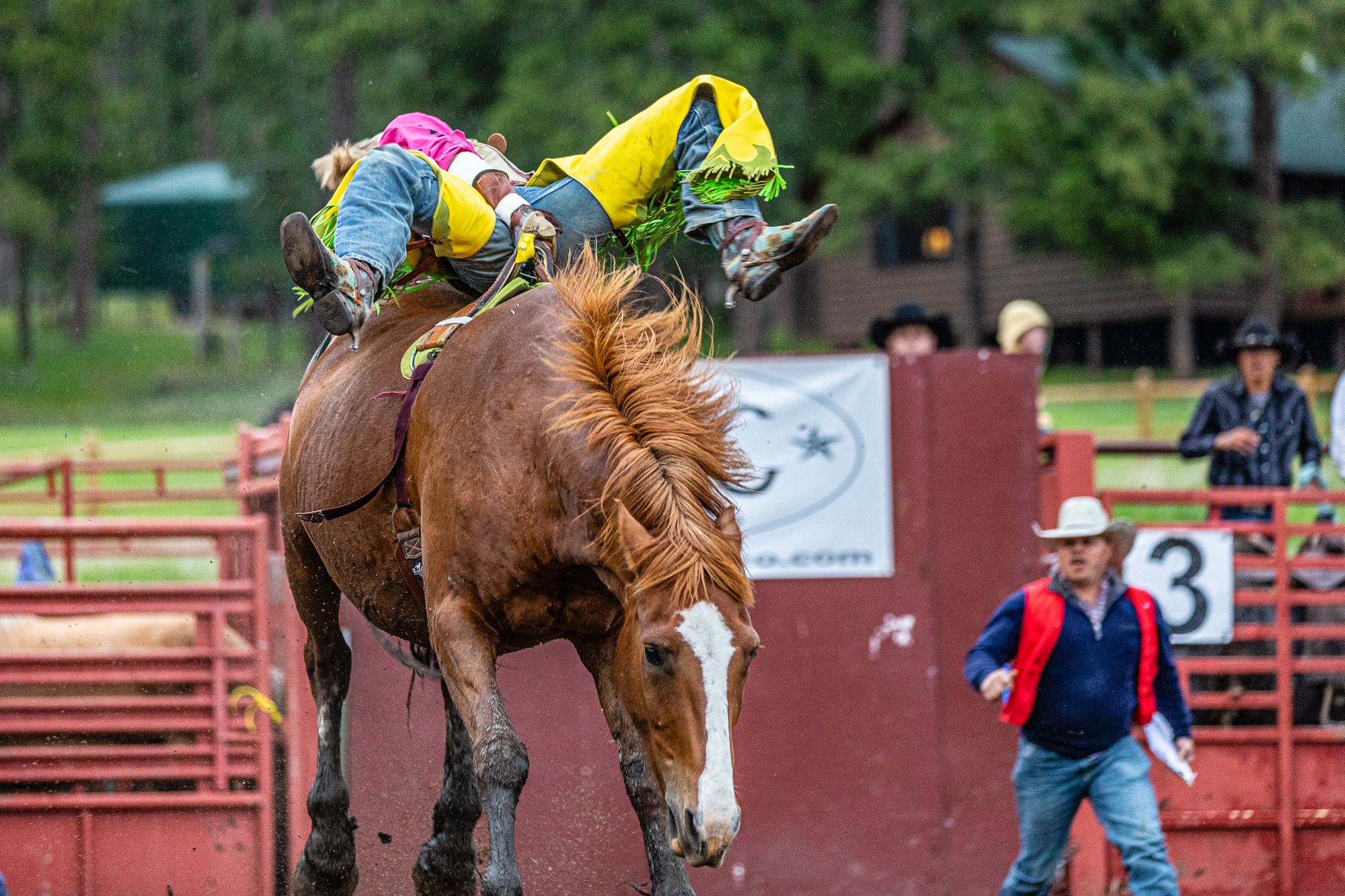 Mount Rushmore Rodeo at Palmer Gulch Photo