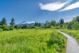 Sisson Meadows