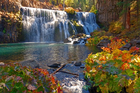 McCloud Falls & Trail