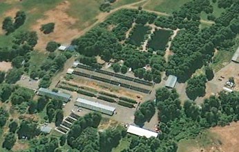 Mount Shasta Fish Hatchery